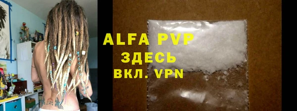 прущие грибы Абаза
