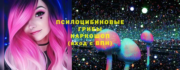 прущие грибы Абаза