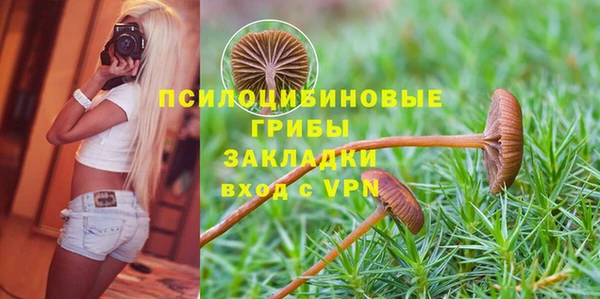 винт Абинск