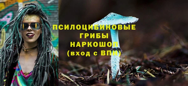 спиды Алексеевка