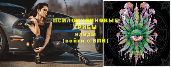 МДПВ Алзамай