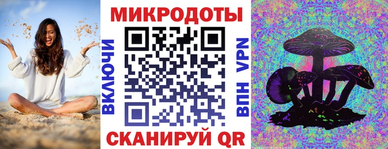 купить   Чухлома  Галлюциногенные грибы Cubensis 