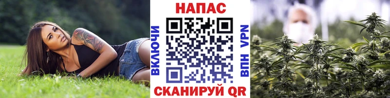 Шишки марихуана сатива  цена   Чухлома 